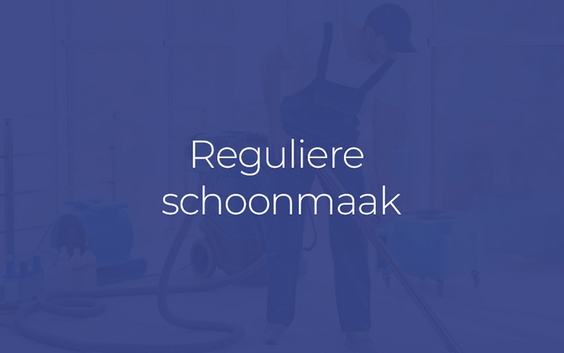 Perfect Cleaning REGULIERE SCHOONMAAK